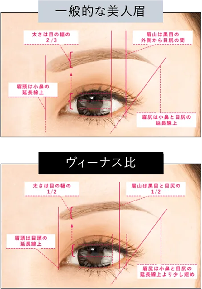 一般的な美人眉：太さは目の幅の2/3 眉山は黒目の外側から目じりの間 眉頭は小鼻の延長線上 眉尻は小鼻と目じりの延長線上 ヴィーナス比：太さは目の幅の1/2 眉山は黒目と目尻の1/2 眉頭は目頭の延長線上 眉尻は小鼻と目尻の延長線上より少し短め